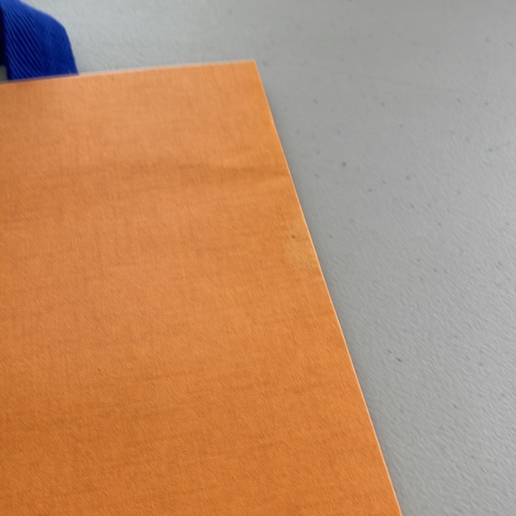 Authentic Louis Vuitton Empty Gift/Shopping Bag - Picture 12 of 12